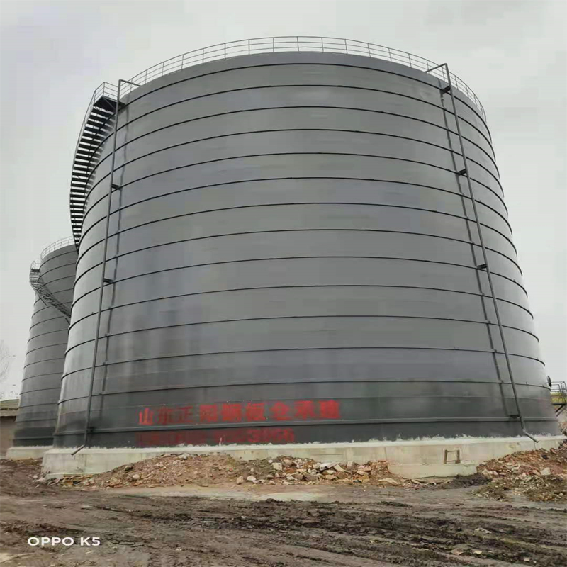 江城3万吨大型钢板库